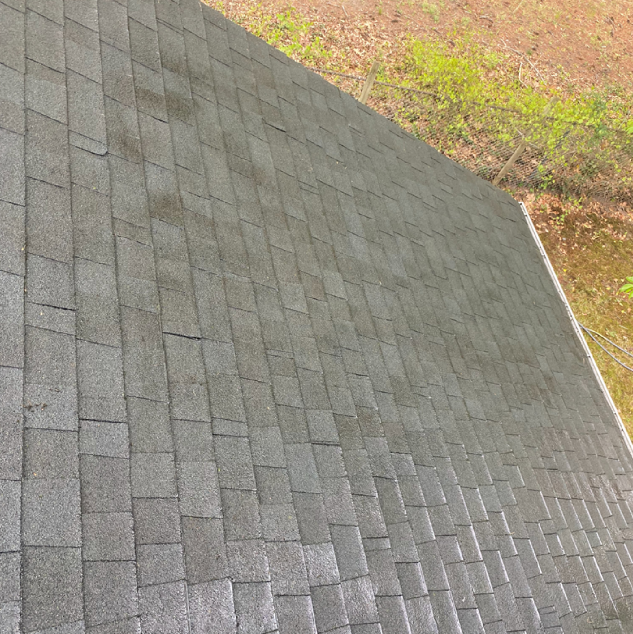 Roof after