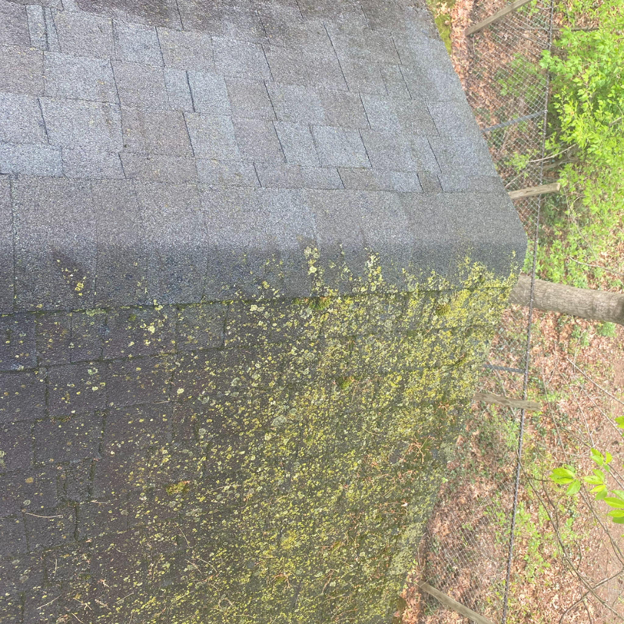 Roof before