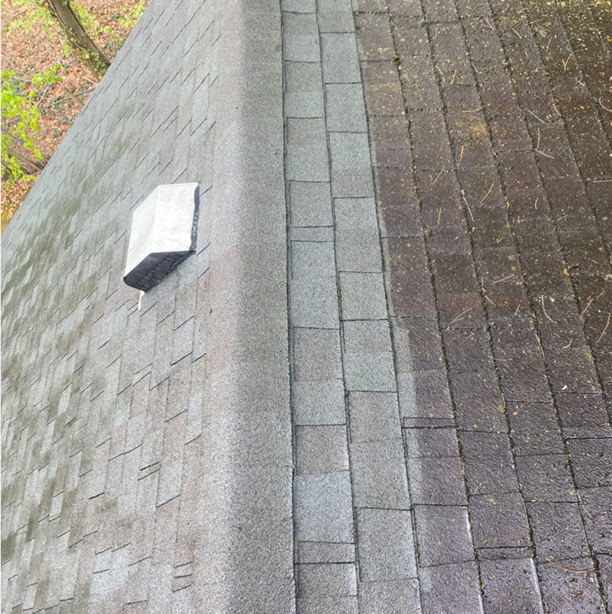 Roof during